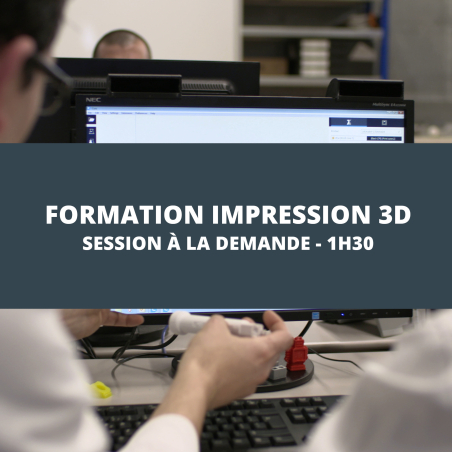 Formazione online sulla stampa 3D - 1h30